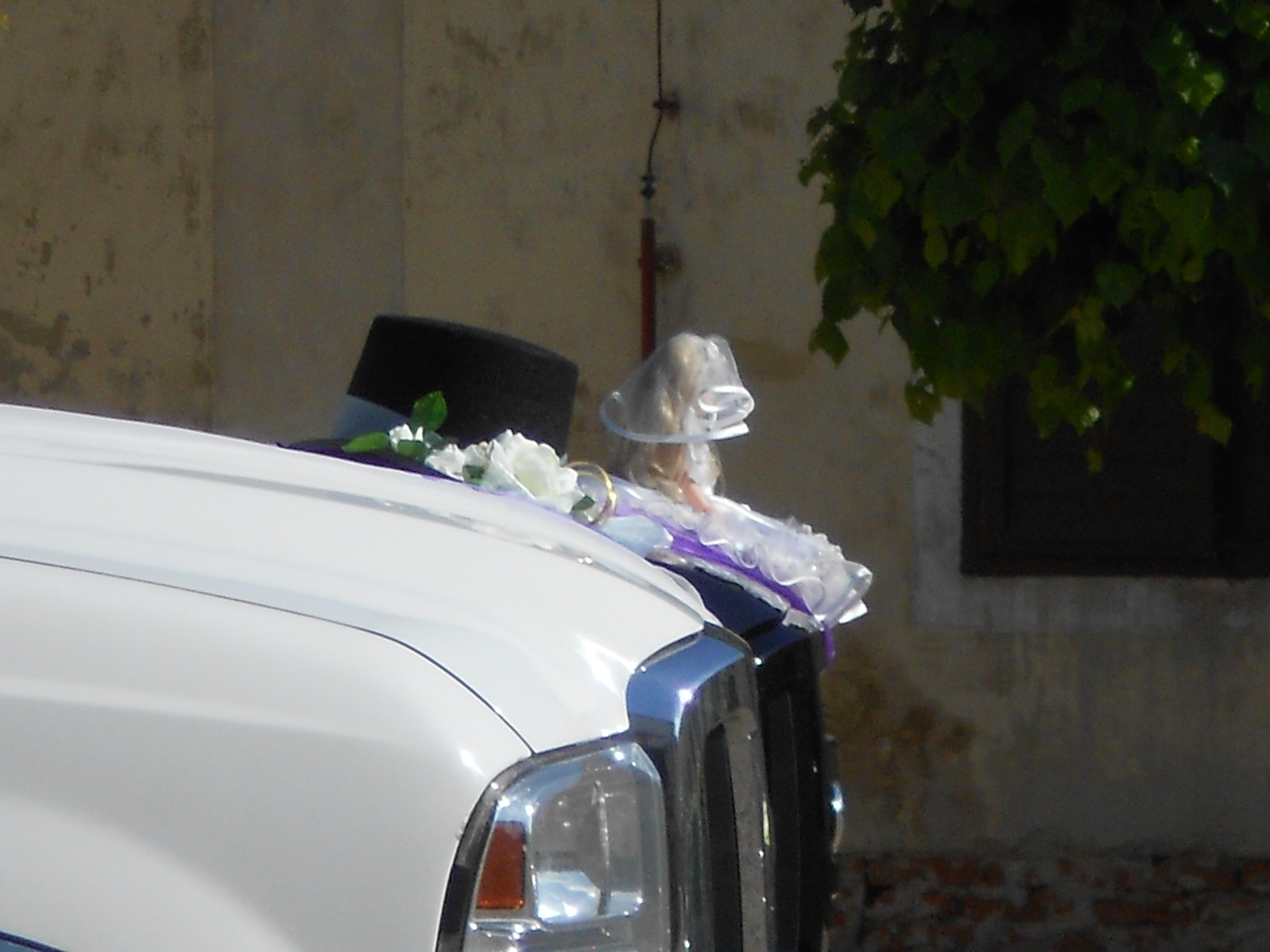 Silver Star Limousines