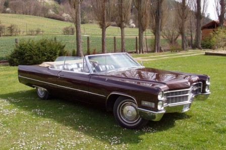 Silver Star Limousines